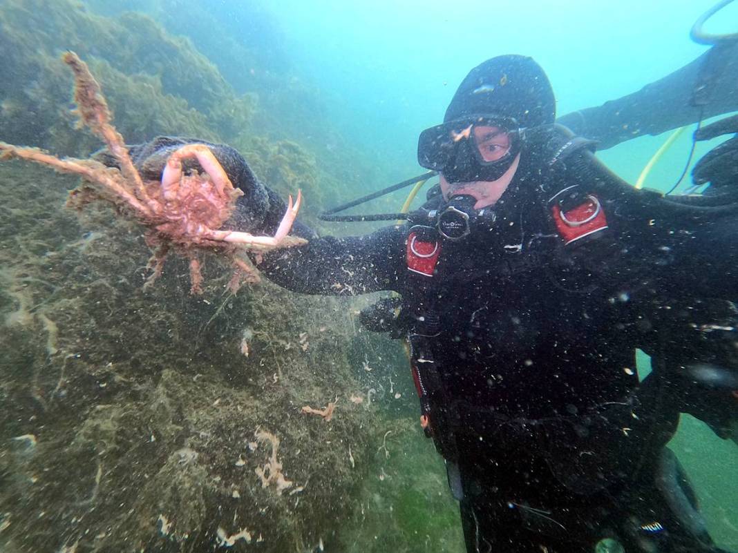 Müsilajla mücadele etmeleri için o bölgeye öbek öbek yerleştiriliyor! Bakanlık, sanayi, üniversite, TÜBİTAK işbirliği 8